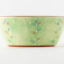 Plants  ココットボウルL　happa