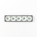 箱入り豆皿５色セットパンダ