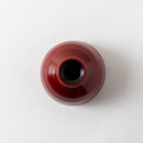 根来 たっぷり碗 シダ