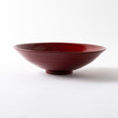 根来 リム平型盛鉢 シダ