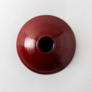 根来 リム平型盛鉢 シダ