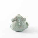 カエル　阿吽　ペア