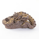 龍　特大　焼しめ