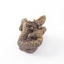 龍　特大　焼しめ