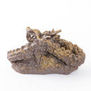 龍　特大　焼しめ