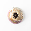 線刻　万能平鉢　ピンク