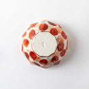 十角鉢　赤木の葉