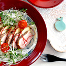 根来 リム平型盛鉢 シダ