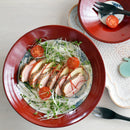 曙 リム平型盛鉢 シダ